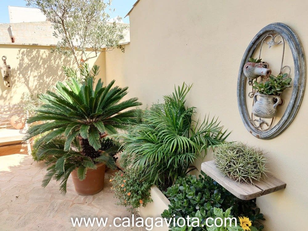 3 soveværelse Rækkehus til salg i Ses Salines - € 895.000 (Ref: 7168195)