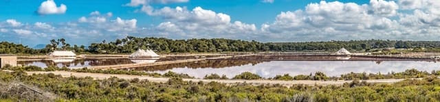 Bouwgrond te koop in Colonia de Sant Jordi, Ses Salines - € 2.500.000 (Ref: 7168198)