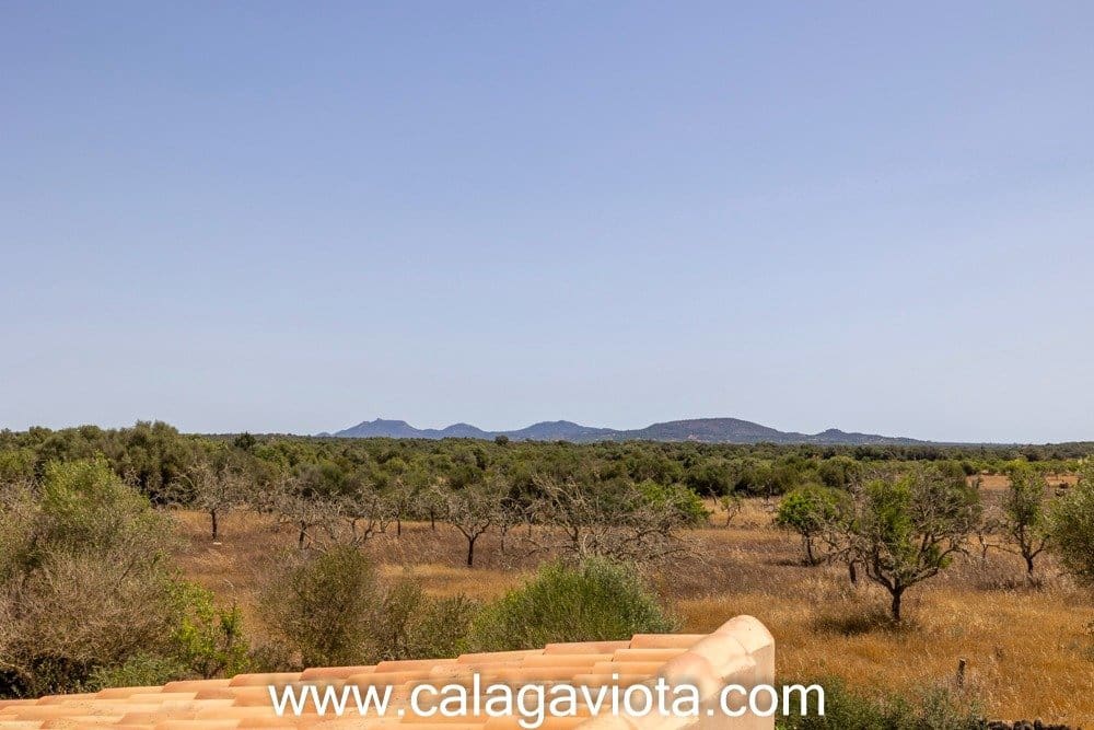 4 camera da letto Villa da affittare in Ses Salines con piscina - 3.850 € (Rif: 7168205)