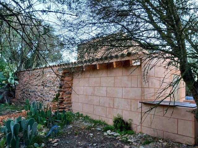 Terre non Aménagée à vendre à Campos - 270 000 € (Ref: 7168254)