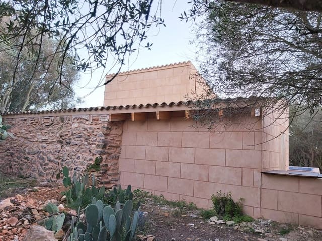 Terre non Aménagée à vendre à Campos - 270 000 € (Ref: 7168254)