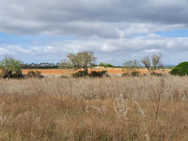 Undeveloped Land for sale in Santanyí - € 270,000 (Ref: 7168255)