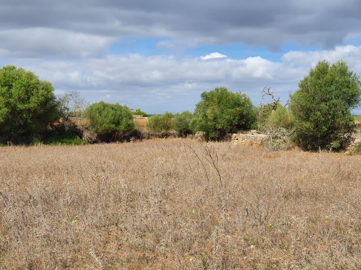 Ubebygd land til salgs i Santanyi - € 270 000 (Ref: 7168255)