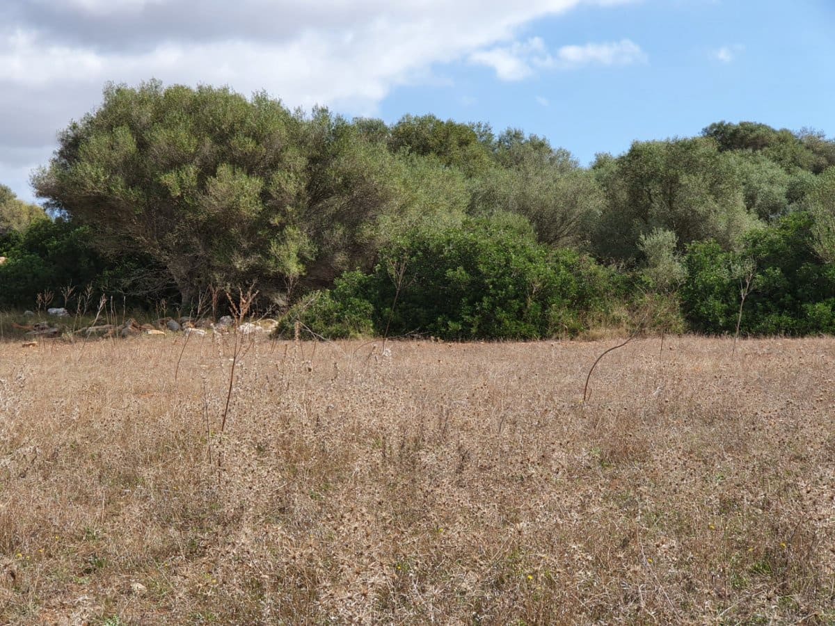 Ubebygd land til salgs i Santanyi - € 270 000 (Ref: 7168255)