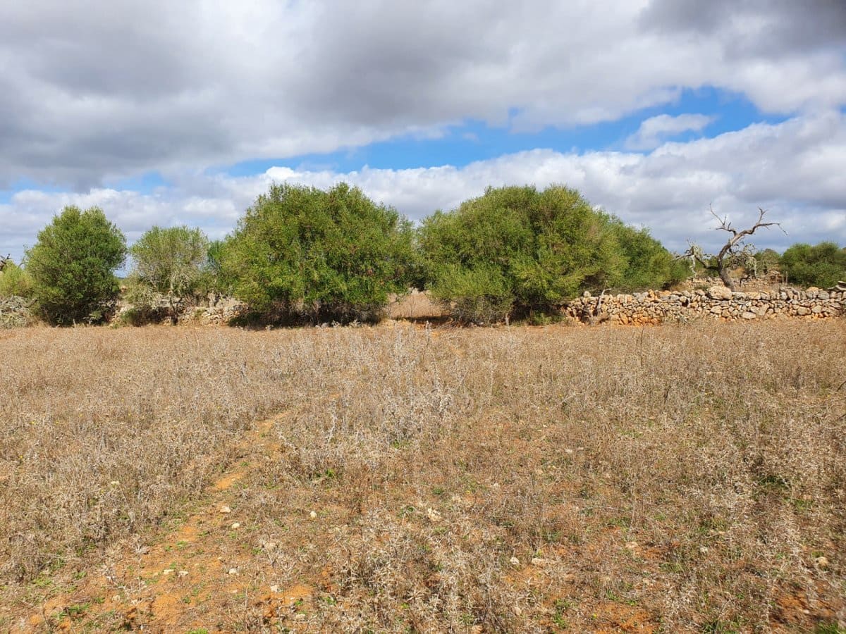 Ubebygd land til salgs i Santanyi - € 270 000 (Ref: 7168255)