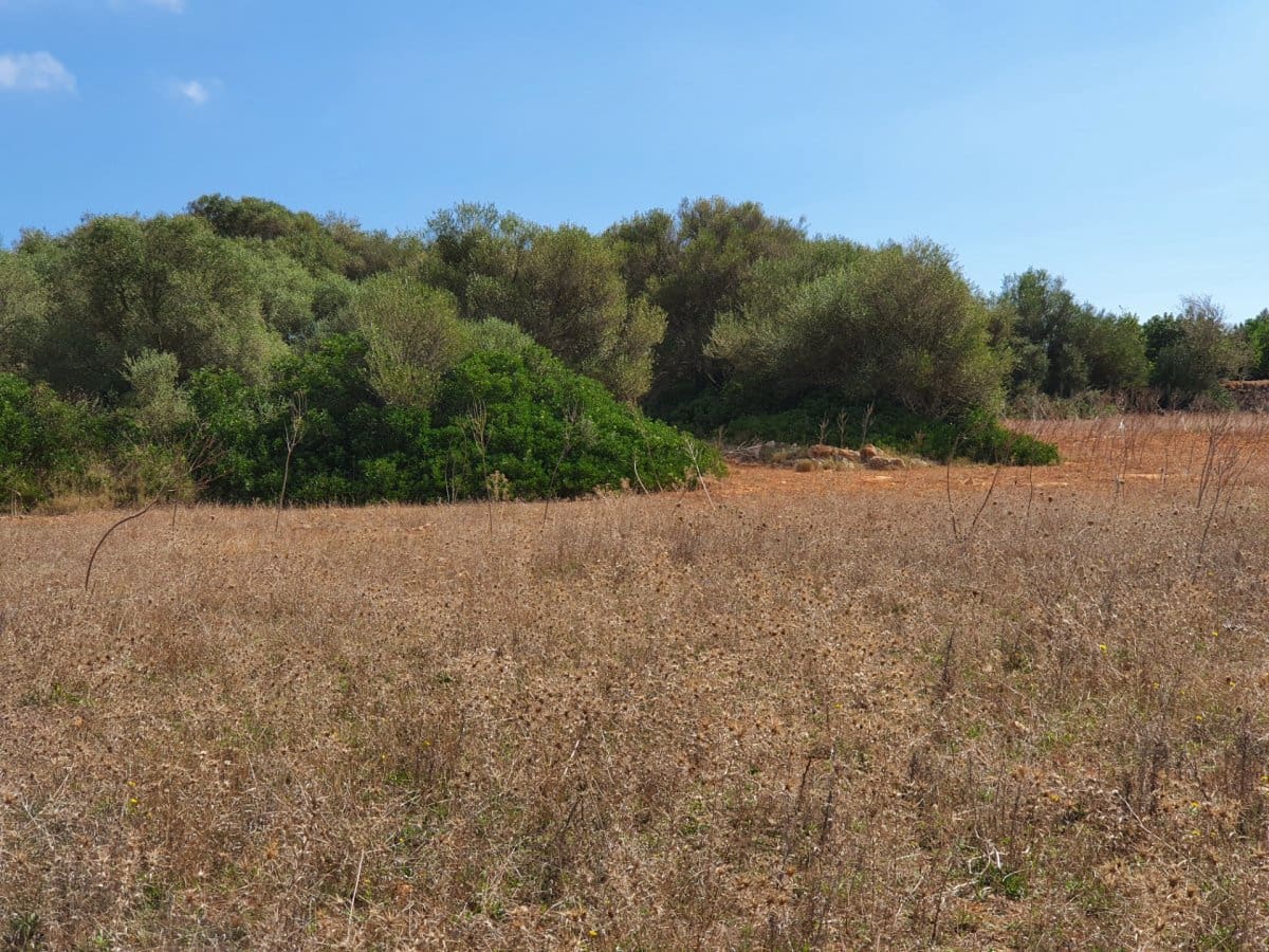 Ubebygd land til salgs i Santanyi - € 270 000 (Ref: 7168255)