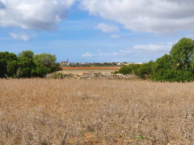 Undeveloped Land for sale in Santanyí - € 270,000 (Ref: 7168255)
