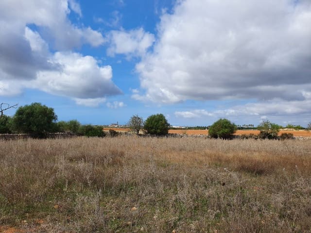 Undeveloped Land for sale in Santanyí - € 270,000 (Ref: 7168255)