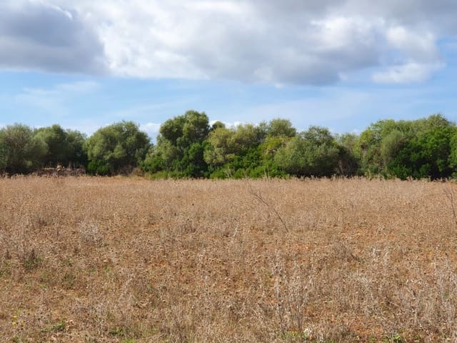Undeveloped Land for sale in Santanyí - € 270,000 (Ref: 7168255)