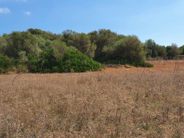 Undeveloped Land for sale in Santanyí - € 270,000 (Ref: 7168255)