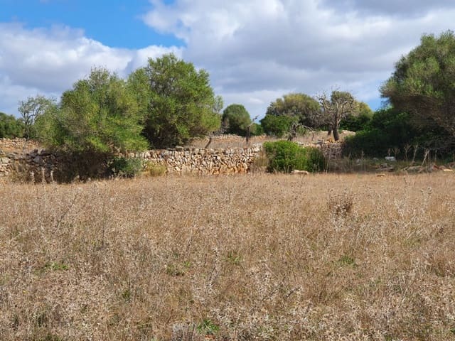 Undeveloped Land for sale in Santanyí - € 270,000 (Ref: 7168255)