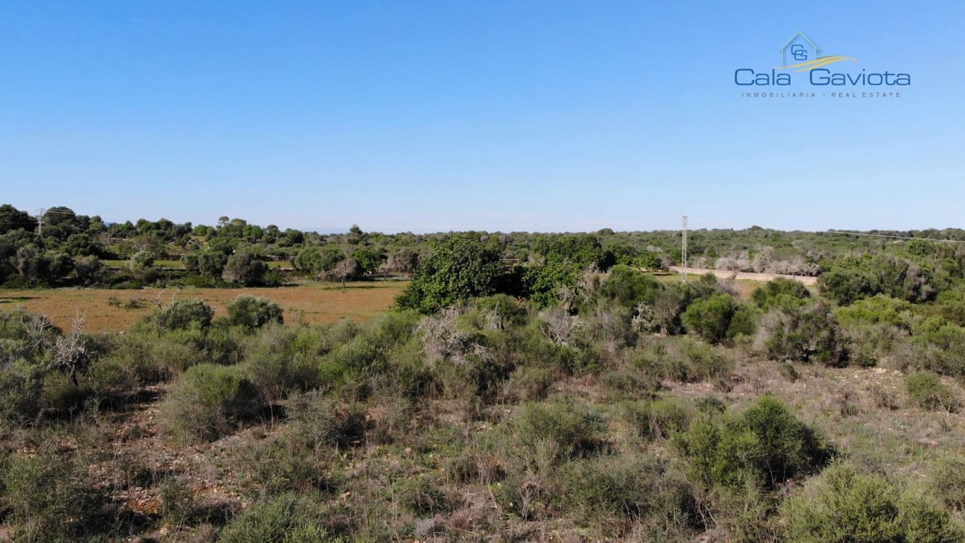 Grond te koop in Ses Salines - € 490.000 (Ref: 7168260)