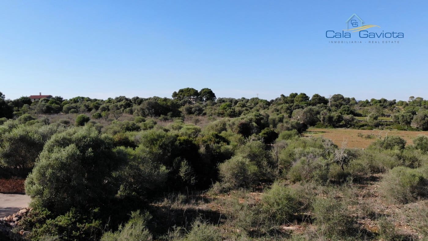 Grond te koop in Ses Salines - € 490.000 (Ref: 7168260)