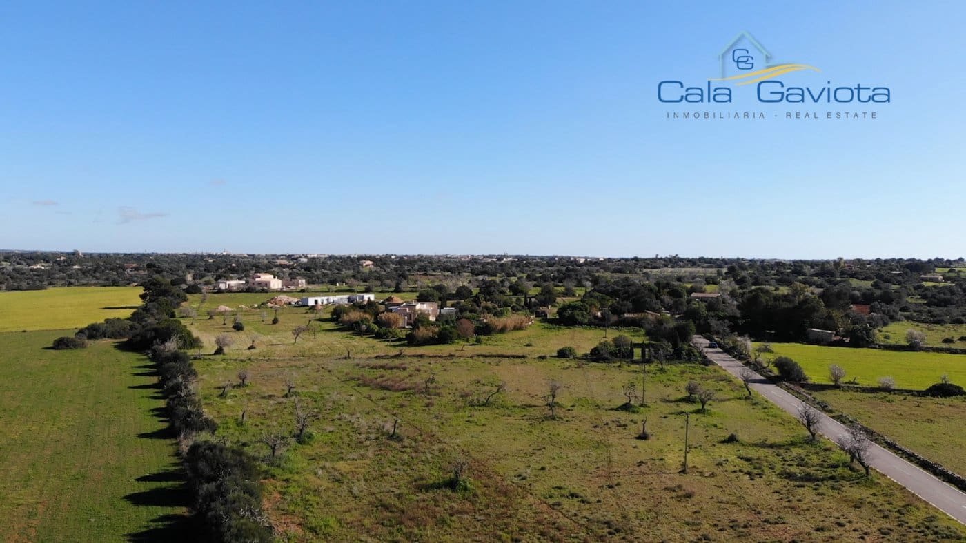 Teren niezagospodarowany na sprzedaż w Ses Salines - 290 000 € (Ref: 7168263)