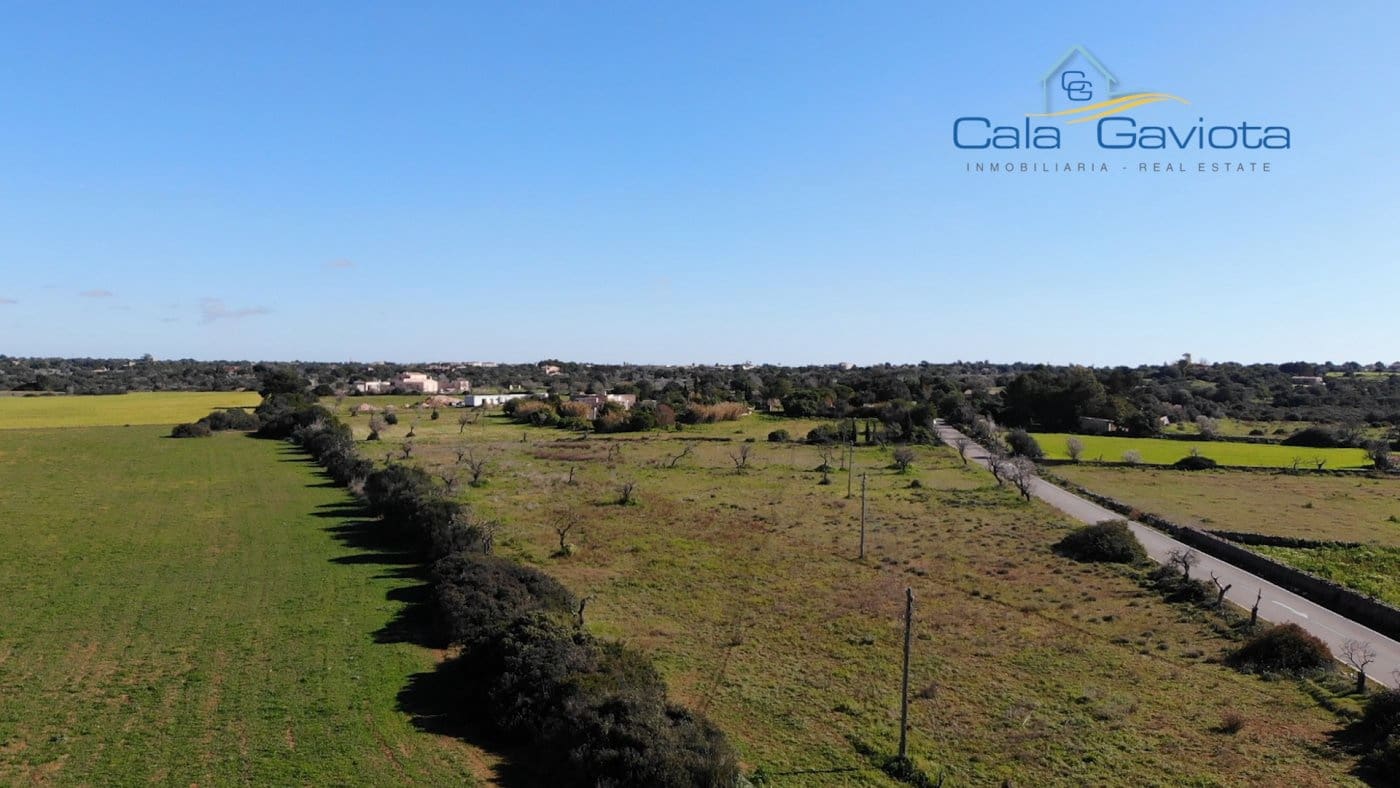 Teren niezagospodarowany na sprzedaż w Ses Salines - 290 000 € (Ref: 7168263)