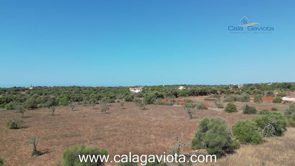 Teren niezagospodarowany na sprzedaż w Ses Salines - 355 000 € (Ref: 7168271)