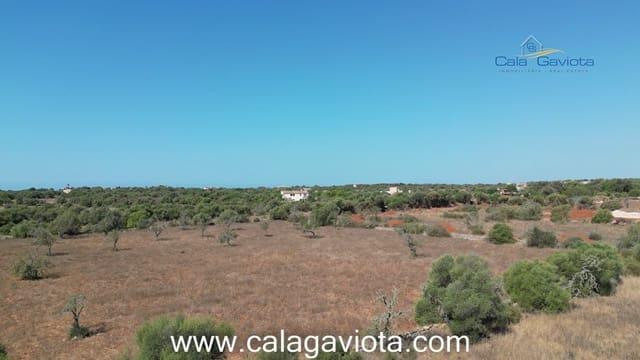 Teren niezagospodarowany na sprzedaż w Ses Salines - 355 000 € (Ref: 7168271)