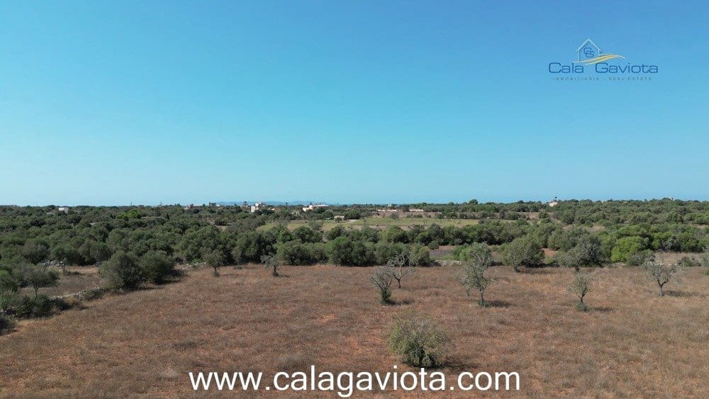 Teren niezagospodarowany na sprzedaż w Ses Salines - 355 000 € (Ref: 7168271)