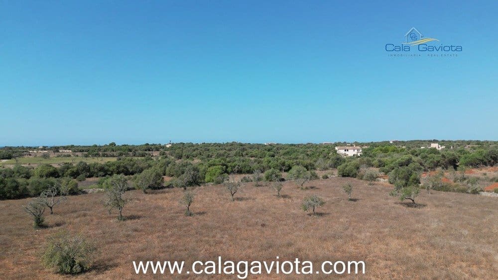 Teren niezagospodarowany na sprzedaż w Ses Salines - 355 000 € (Ref: 7168271)