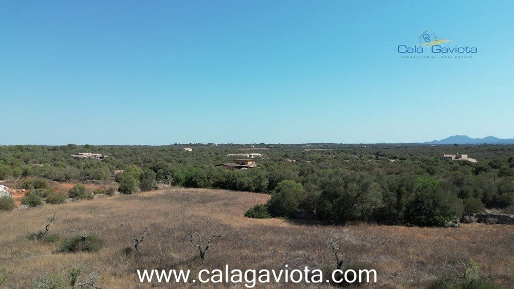 Teren niezagospodarowany na sprzedaż w Ses Salines - 355 000 € (Ref: 7168271)