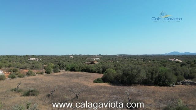 Teren niezagospodarowany na sprzedaż w Ses Salines - 355 000 € (Ref: 7168271)