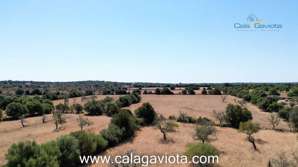 Teren niezagospodarowany na sprzedaż w Ses Salines - 340 000 € (Ref: 7168272)