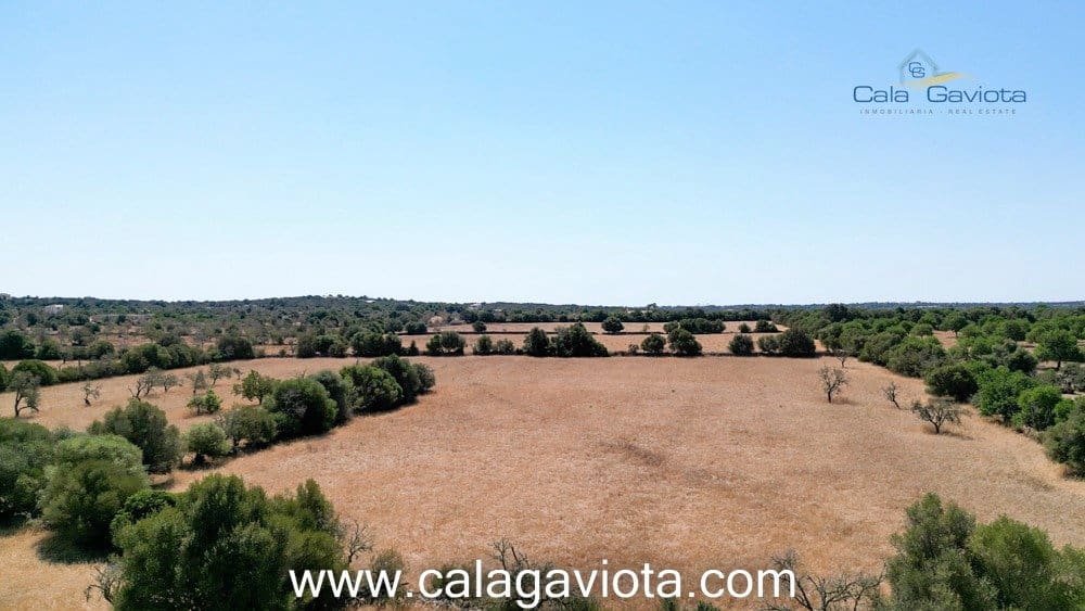 Teren niezagospodarowany na sprzedaż w Ses Salines - 340 000 € (Ref: 7168272)