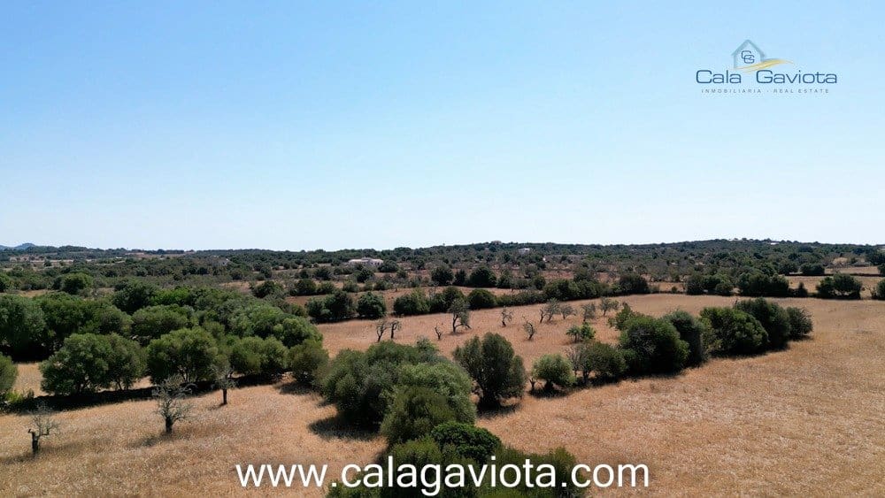 Teren niezagospodarowany na sprzedaż w Ses Salines - 340 000 € (Ref: 7168272)