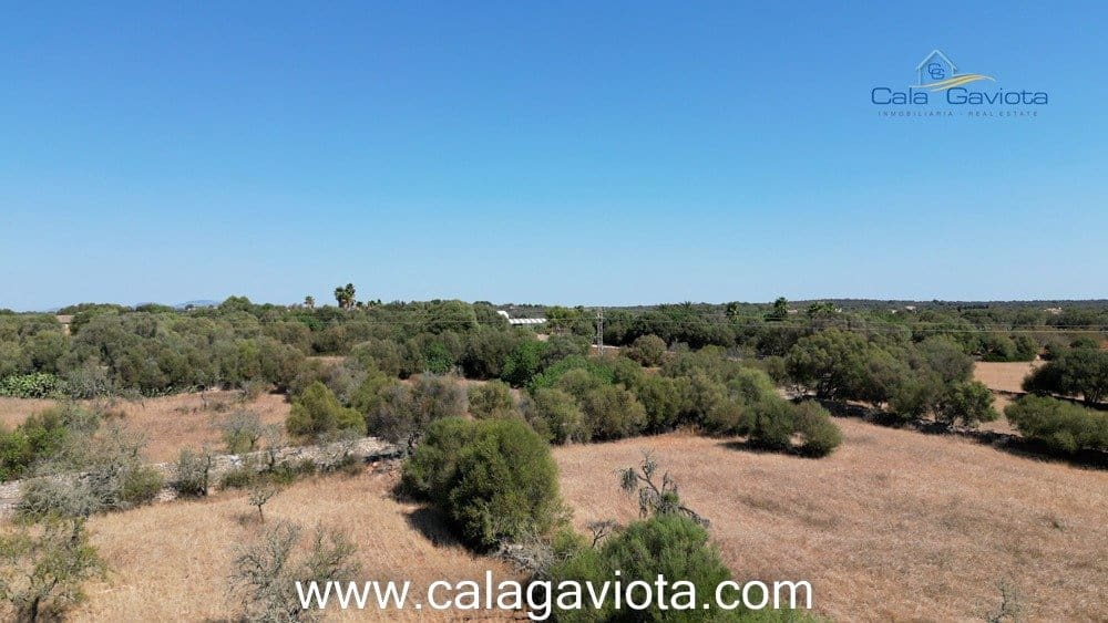 Teren niezagospodarowany na sprzedaż w Ses Salines - 340 000 € (Ref: 7168272)