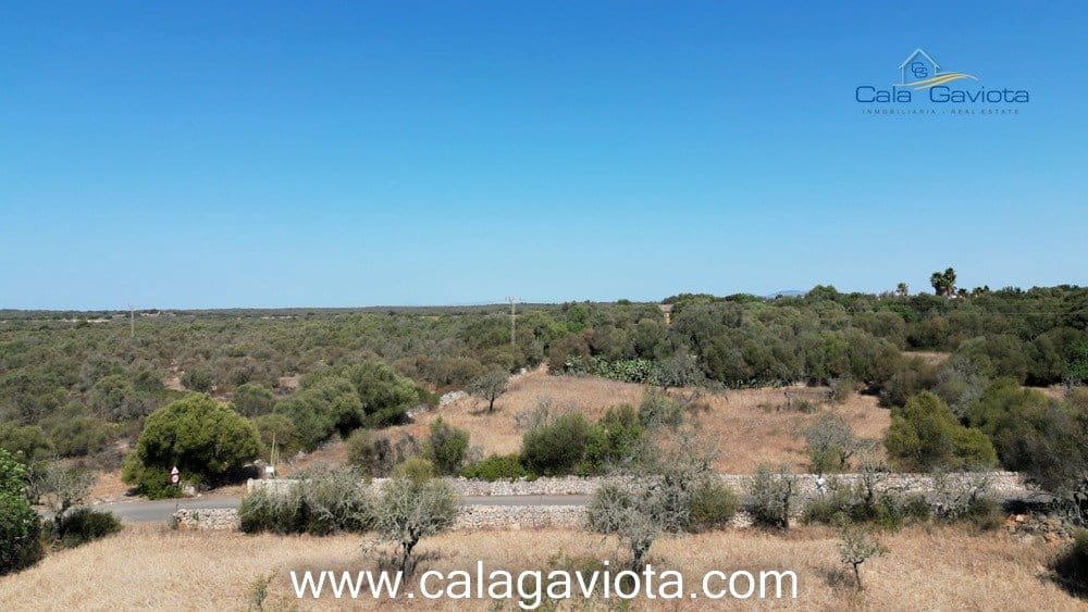 Teren niezagospodarowany na sprzedaż w Ses Salines - 340 000 € (Ref: 7168272)