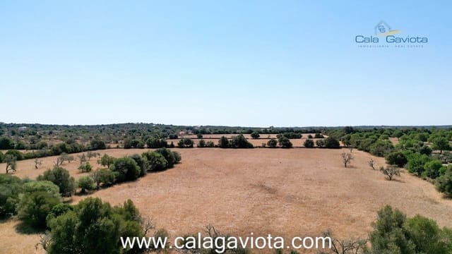 Teren niezagospodarowany na sprzedaż w Ses Salines - 340 000 € (Ref: 7168272)