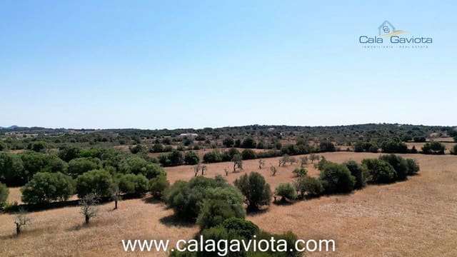 Teren niezagospodarowany na sprzedaż w Ses Salines - 340 000 € (Ref: 7168272)