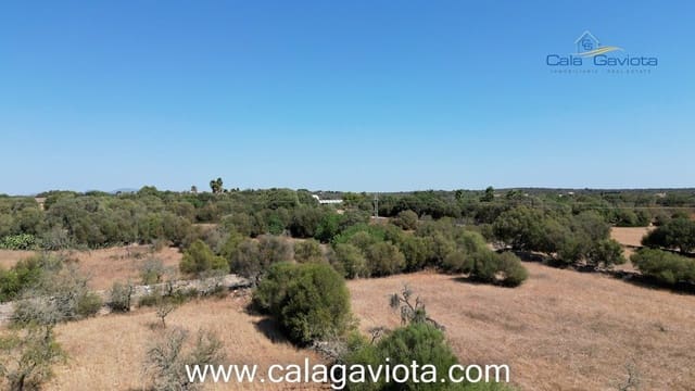 Teren niezagospodarowany na sprzedaż w Ses Salines - 340 000 € (Ref: 7168272)