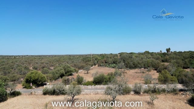 Teren niezagospodarowany na sprzedaż w Ses Salines - 340 000 € (Ref: 7168272)