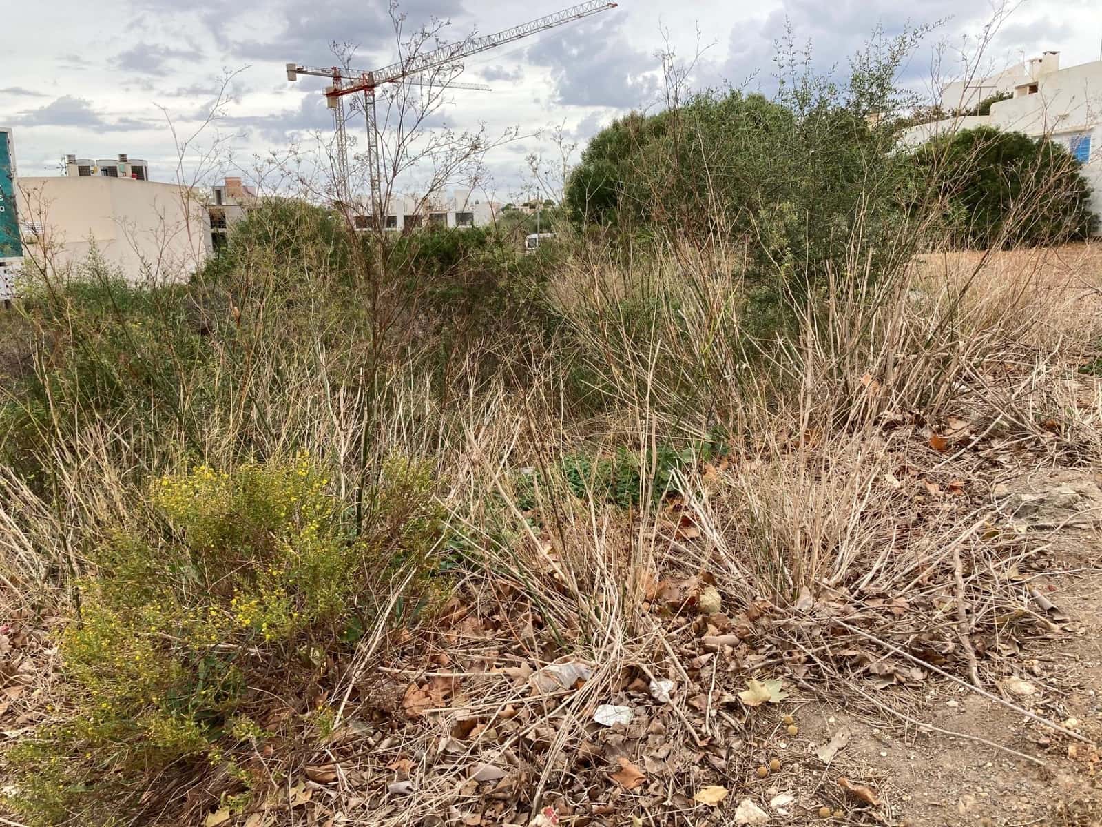 Byggegrund til salg i Portocolom - € 180.000 (Ref: 7899962)