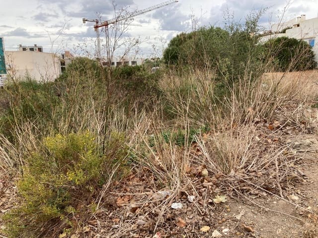Tomt till salu i Portocolom, Felanitx - 180 000 € (Ref: 7899962)