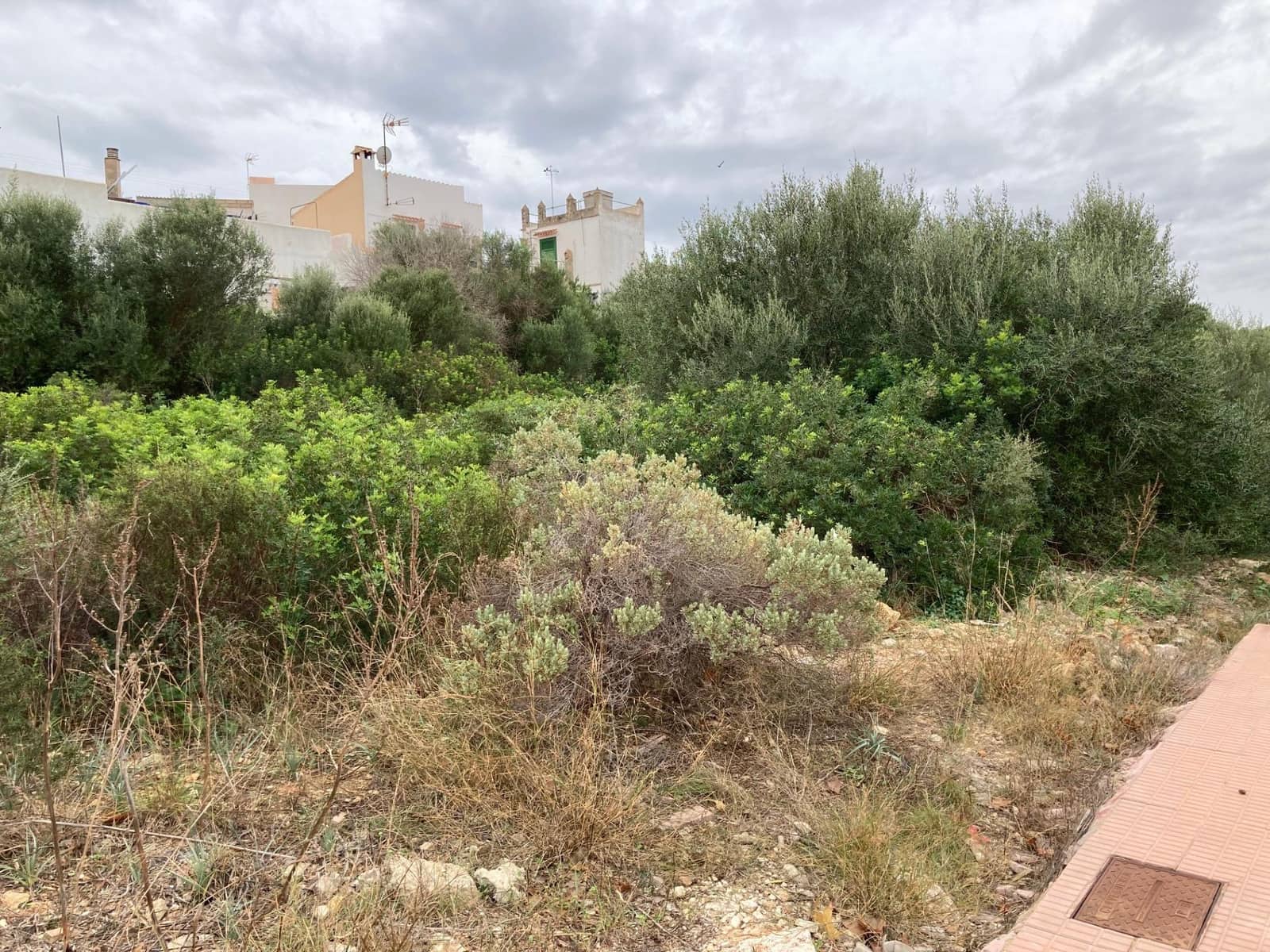 Byggegrund til salg i Portocolom - € 180.000 (Ref: 7899962)