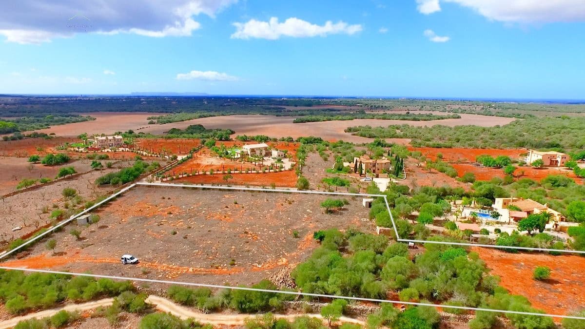 Terreno Não Urbanizado para venda em Ses Salines - 590 000 € (Ref: 8117533)