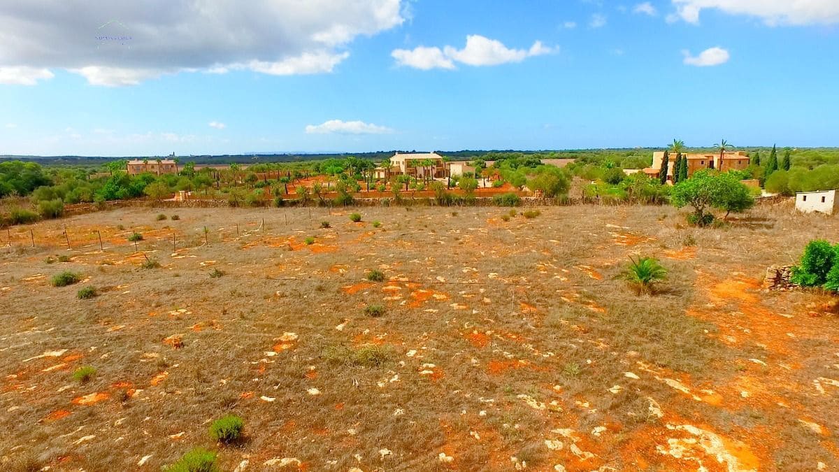 Terreno Não Urbanizado para venda em Ses Salines - 590 000 € (Ref: 8117533)