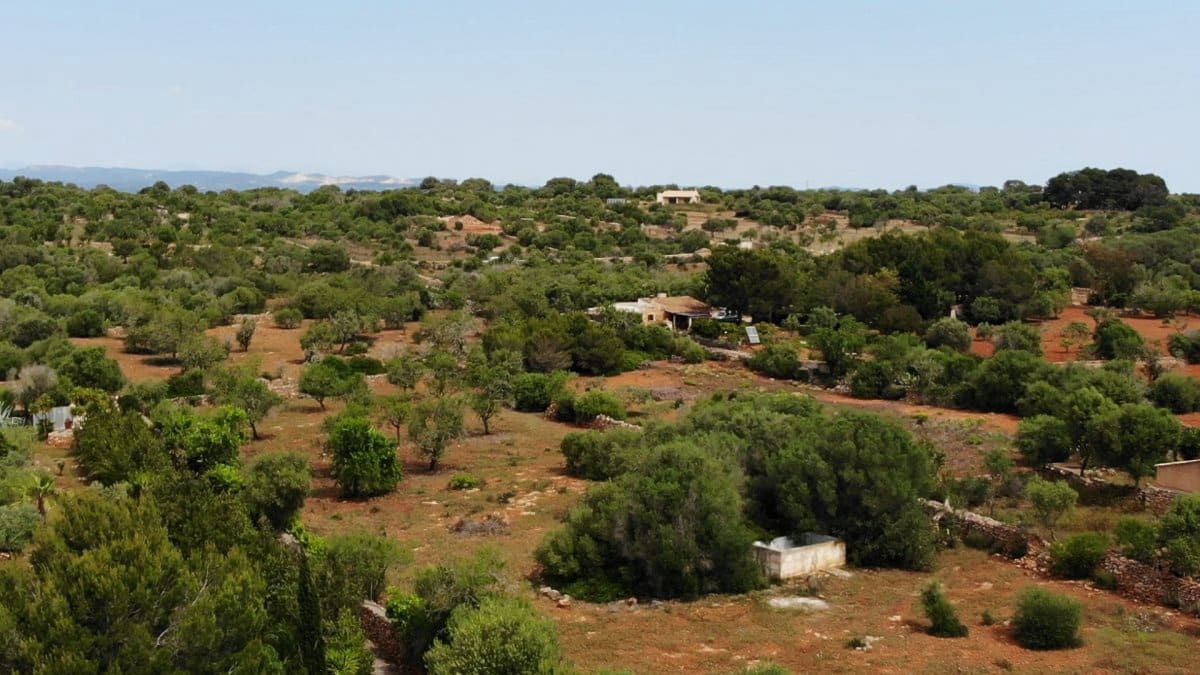 Terreno Não Urbanizado para venda em Ses Salines - 590 000 € (Ref: 8117533)