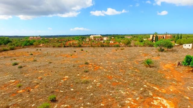 Teren niezagospodarowany na sprzedaż w Ses Salines - 590 000 € (Ref: 8117533)