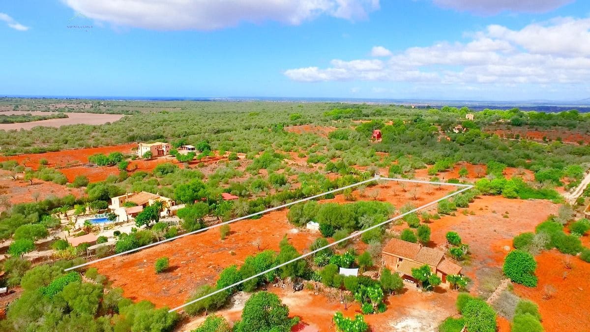 Terreno Não Urbanizado para venda em Ses Salines - 590 000 € (Ref: 8117533)