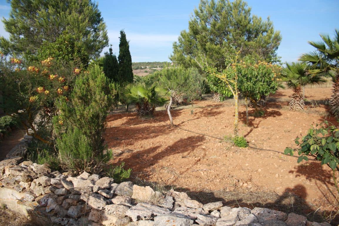 Terreno Não Urbanizado para venda em Ses Salines - 470 000 € (Ref: 8343294)