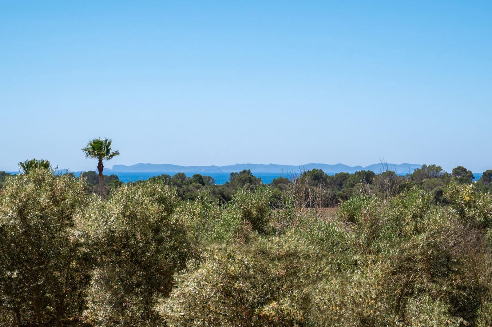 5 soveværelse Villa til salg i Sa Rapita / La Rapita med swimmingpool - € 3.950.000 (Ref: 8343300)