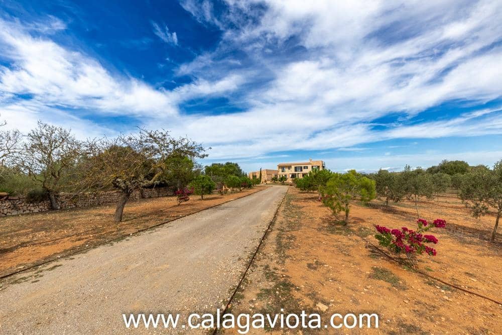 5 bedroom Villa for sale in Ses Salines with pool - € 3,250,000 (Ref: 8652373)