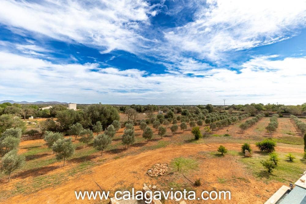 5 bedroom Villa for sale in Ses Salines with pool - € 3,250,000 (Ref: 8652373)