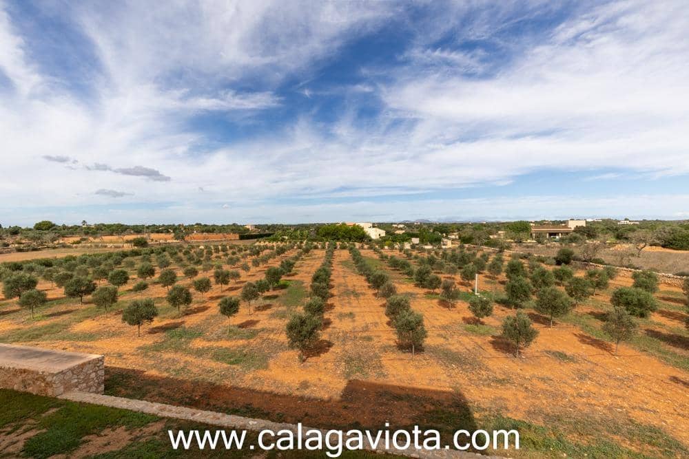 5 bedroom Villa for sale in Ses Salines with pool - € 3,250,000 (Ref: 8652373)