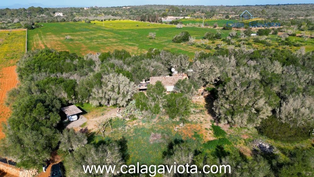 2 sypialnia Finka/Dom wiejski na sprzedaż w Ses Salines - 550 000 € (Ref: 8738029)