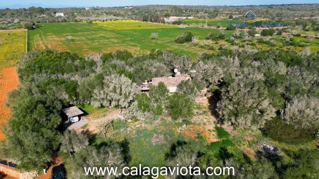 2 slaapkamer Finca/Landhuis te koop in Ses Salines - € 550.000 (Ref: 8738029)