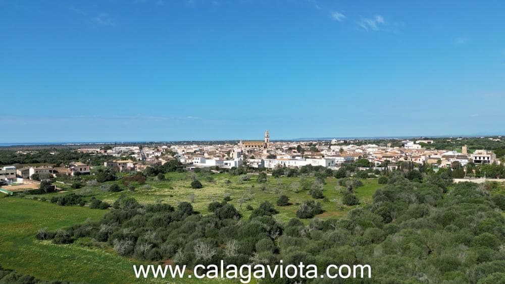 Grond te koop in Ses Salines - € 480.000 (Ref: 8894896)
